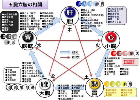 五行体神奉|【漢方基礎知識】中医学の基礎となる哲学「五行学説」 │ 【漢。